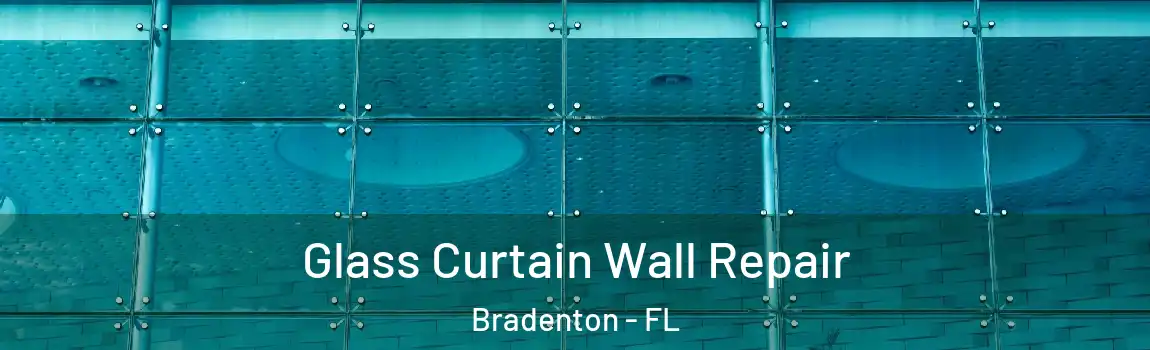  Glass Curtain Wall Repair Bradenton - FL