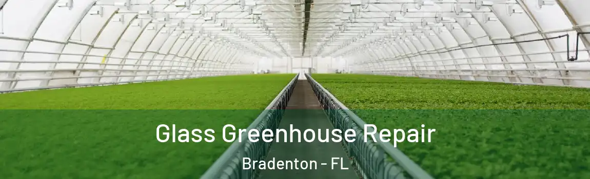  Glass Greenhouse Repair Bradenton - FL