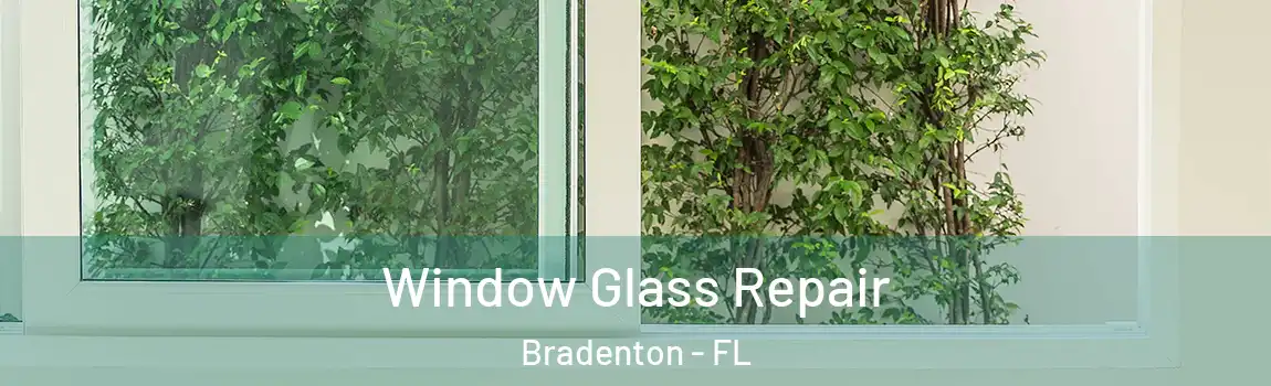 Window Glass Repair Bradenton - FL
