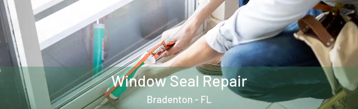 Window Seal Repair Bradenton - FL